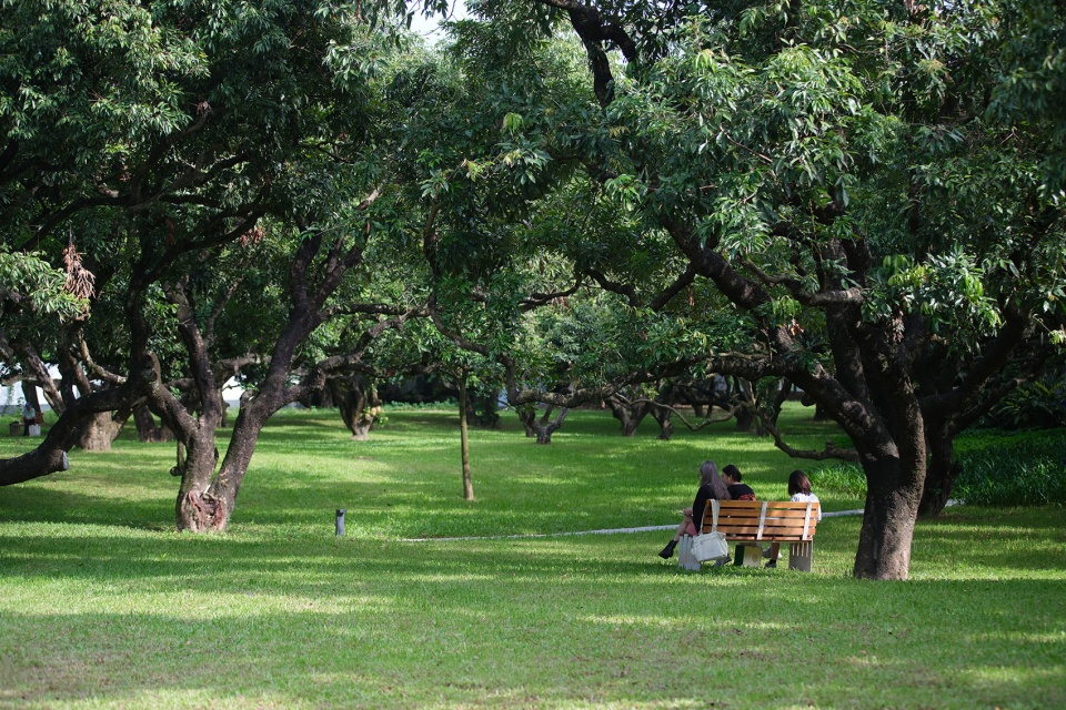 shenzhen university campus environment enhancement