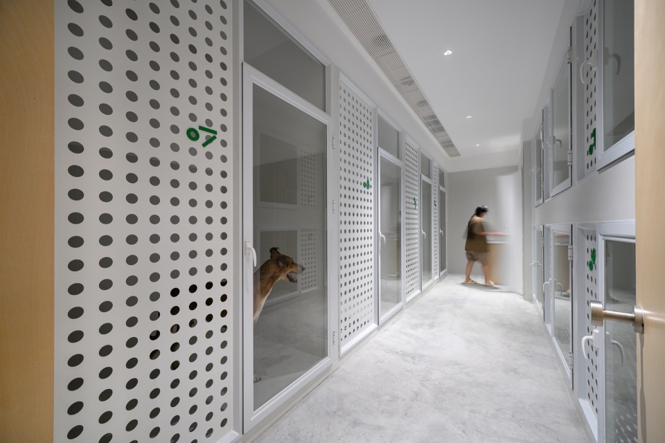 gogoland by informal design