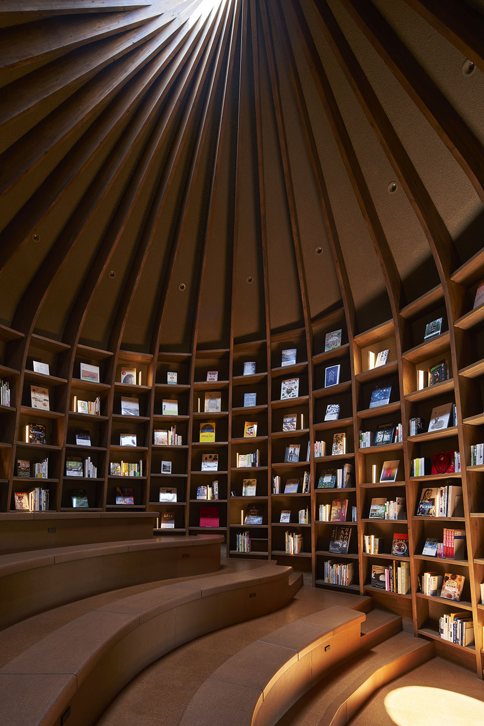 library in the earth by hiroshi nakamura nap