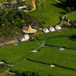 邛崃·丘山阅田园文化村 / 四川乐道景观设计有限公司