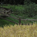 邛崃·丘山阅田园文化村 / 四川乐道景观设计有限公司