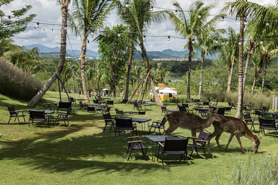 luwan ranch landscape design by yudao studio