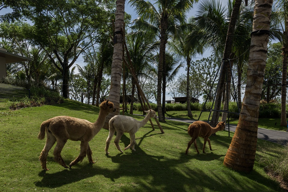 luwan ranch landscape design by yudao studio