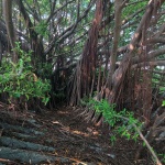 平沙岛·村口蚕房，广东南海大地艺术节/ 木月建筑设计事务所