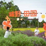 邛崃·丘山阅田园文化村 / 四川乐道景观设计有限公司