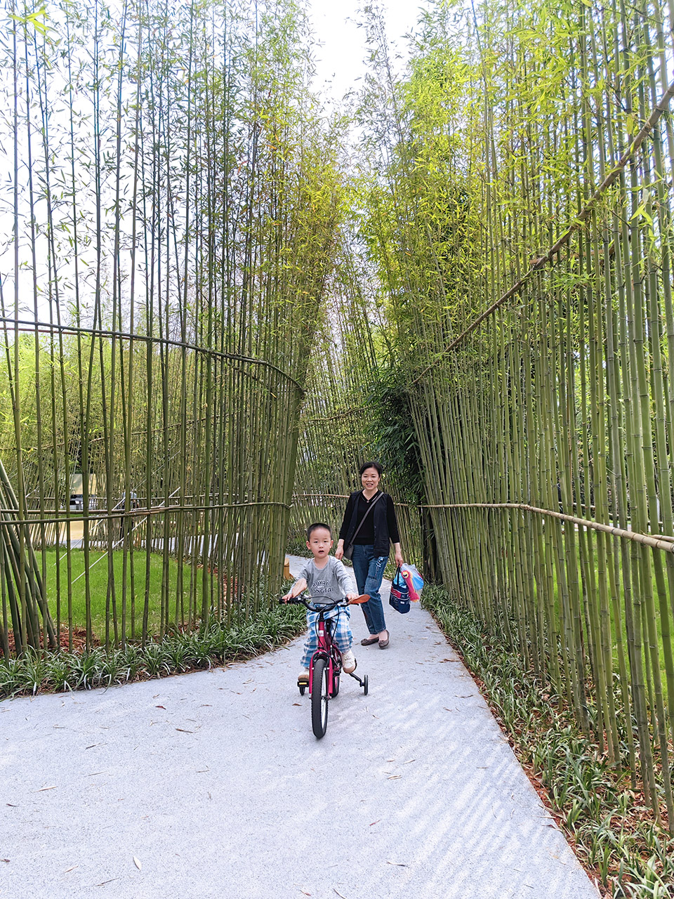 xianning peoples square landscape improvement by ecogreen