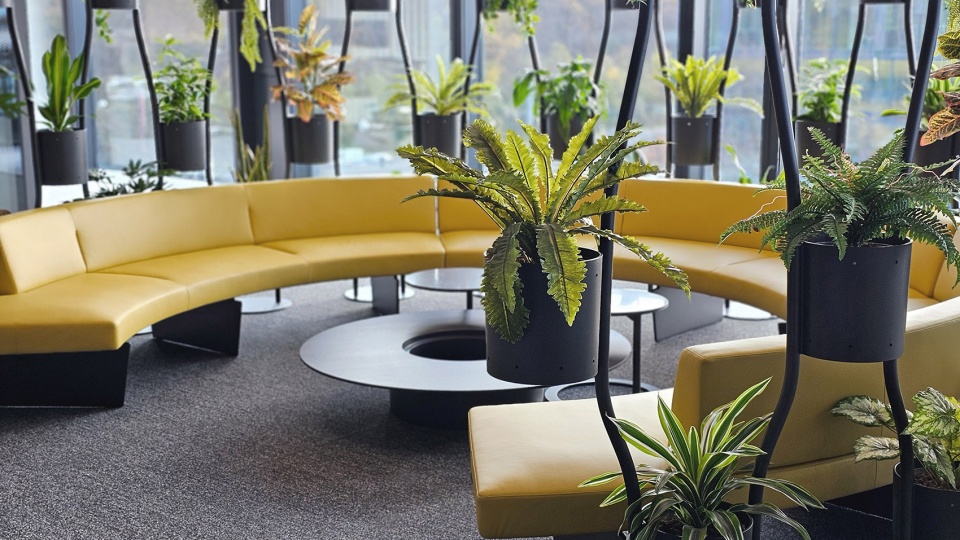 continental corporate headquarters by ippolito fleitz group