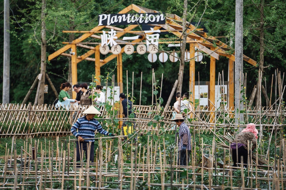 邛崃 丘山阅田园文化村 乐道景观