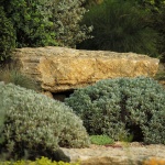 邛崃·丘山阅田园文化村 / 四川乐道景观设计有限公司