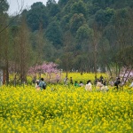 邛崃·丘山阅田园文化村 / 四川乐道景观设计有限公司