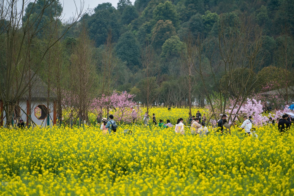 邛崃 丘山阅田园文化村 乐道景观