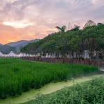 邛崃·丘山阅田园文化村 / 四川乐道景观设计有限公司
