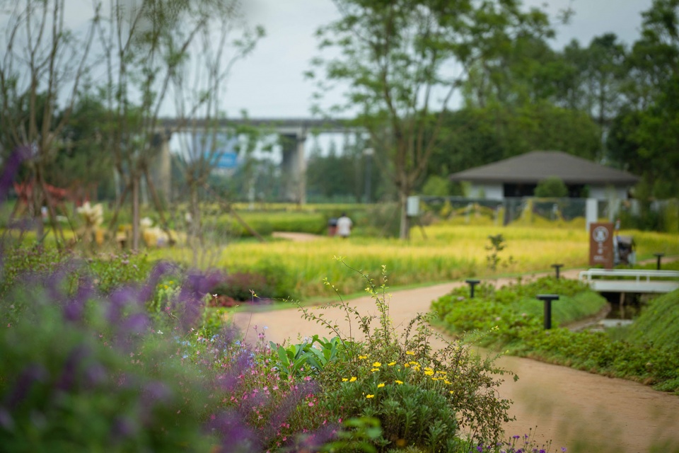邛崃 丘山阅田园文化村 乐道景观
