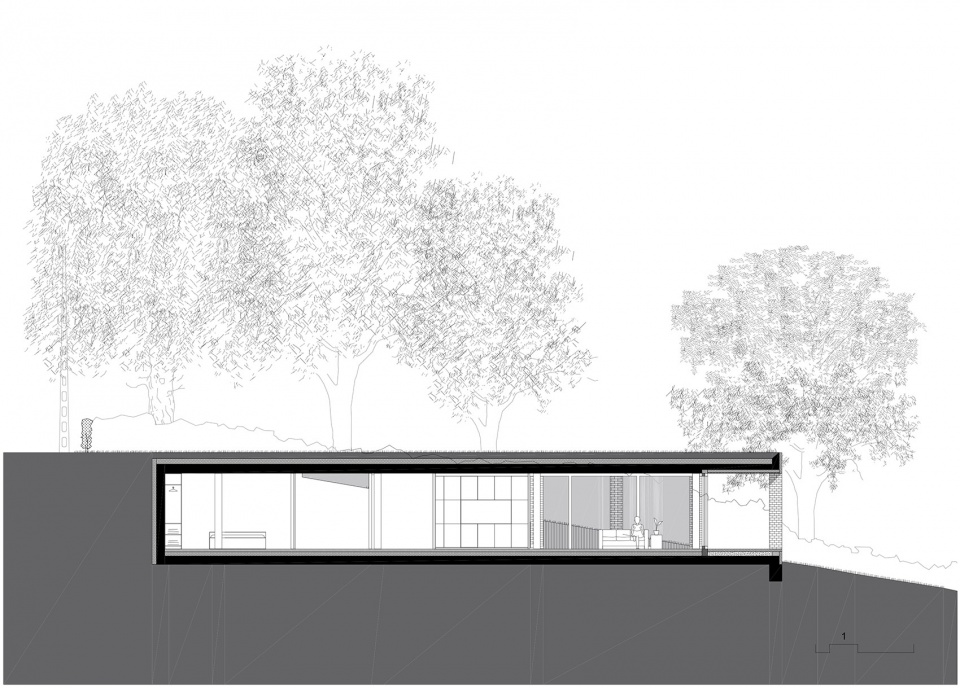 sloped villa by studio okami architects