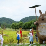 邛崃·丘山阅田园文化村 / 四川乐道景观设计有限公司