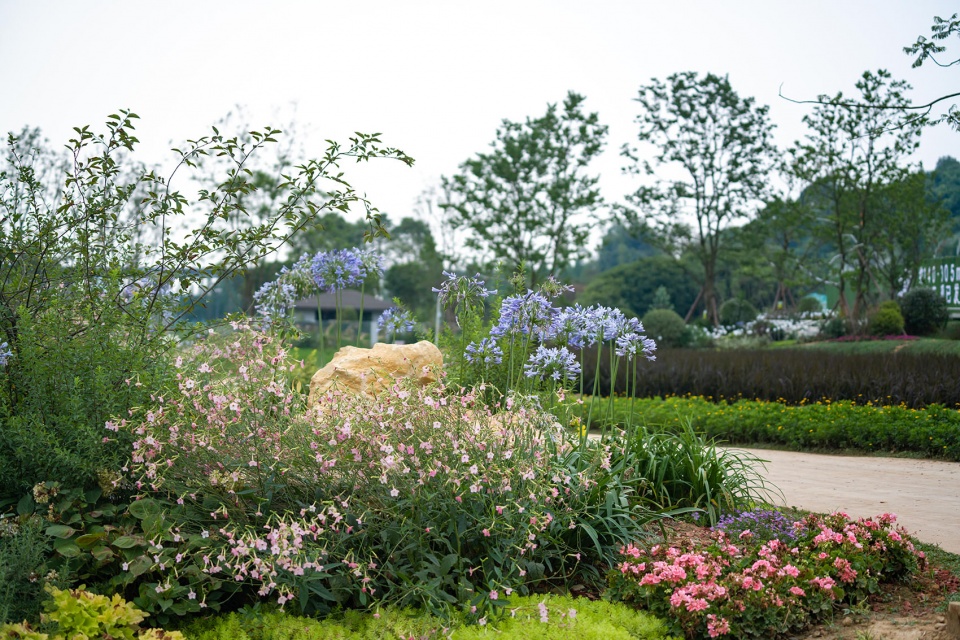 邛崃 丘山阅田园文化村 乐道景观