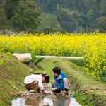 邛崃·丘山阅田园文化村 / 四川乐道景观设计有限公司
