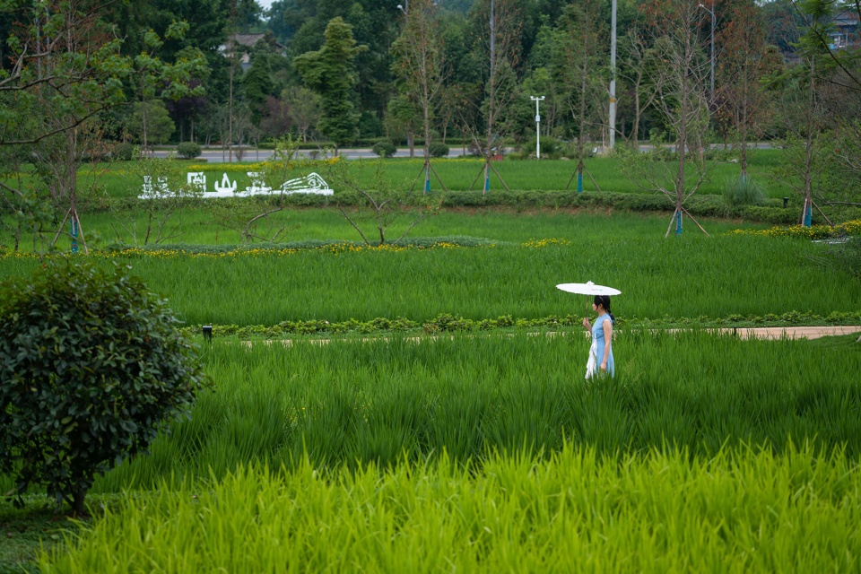 邛崃 丘山阅田园文化村 乐道景观