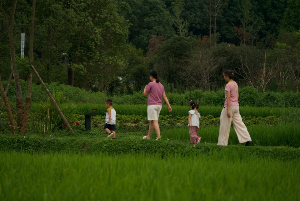 邛崃 丘山阅田园文化村 乐道景观