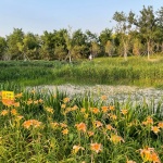北京饮鹿池公园 / 北京林业大学风景园林规划设计研究院BLLA+山水和泓+原筑景观
