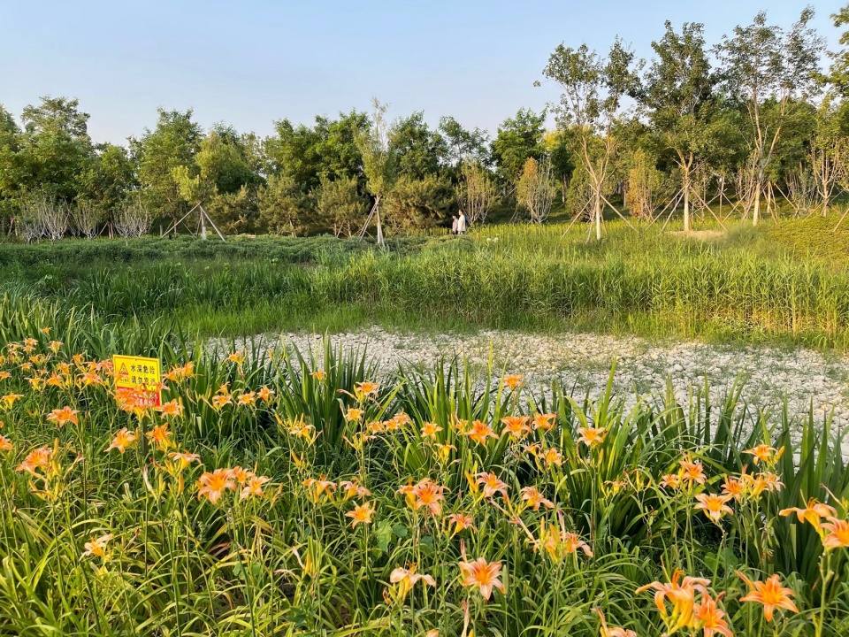 摄影:冯潇 beijing yinluchi park