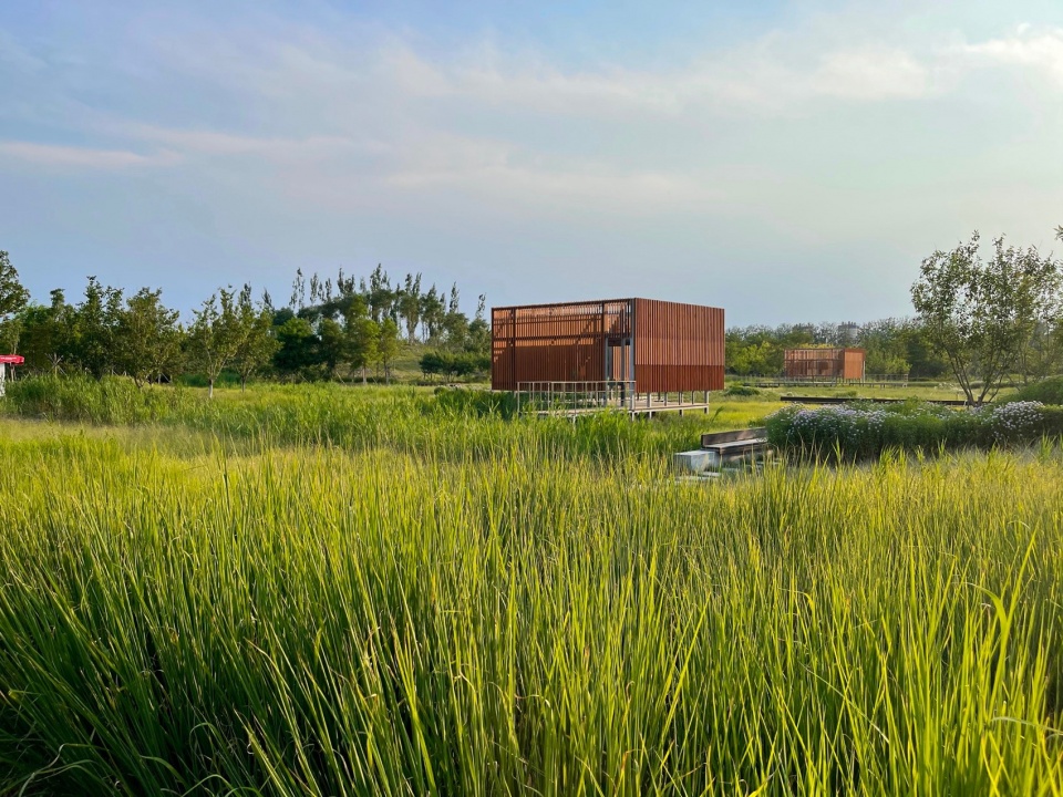 摄影:冯潇 beijing yinluchi park