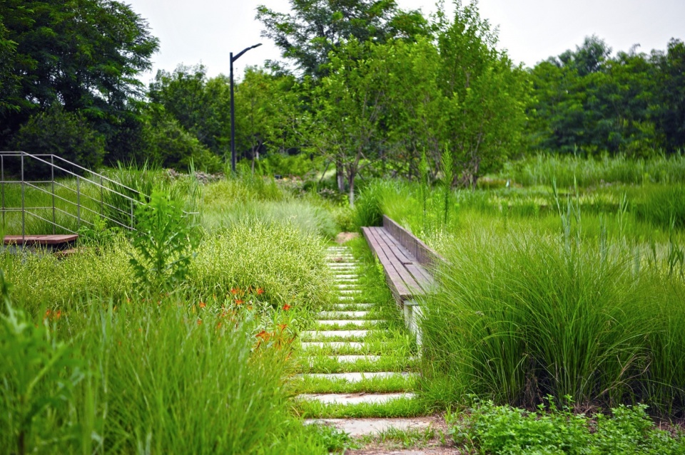 摄影:白桦琳 beijing yinluchi park