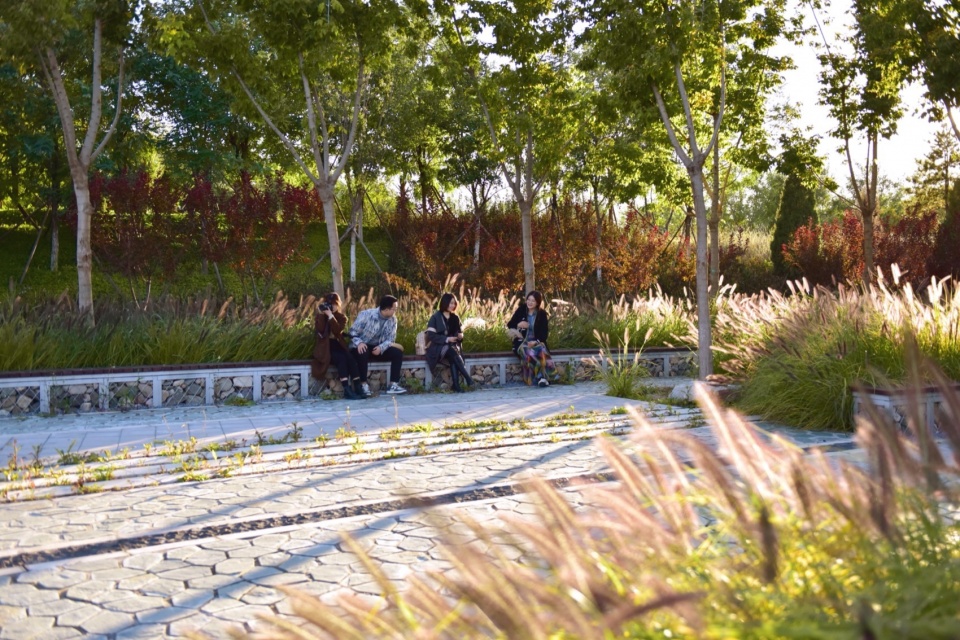 摄影:白桦琳 beijing yinluchi park