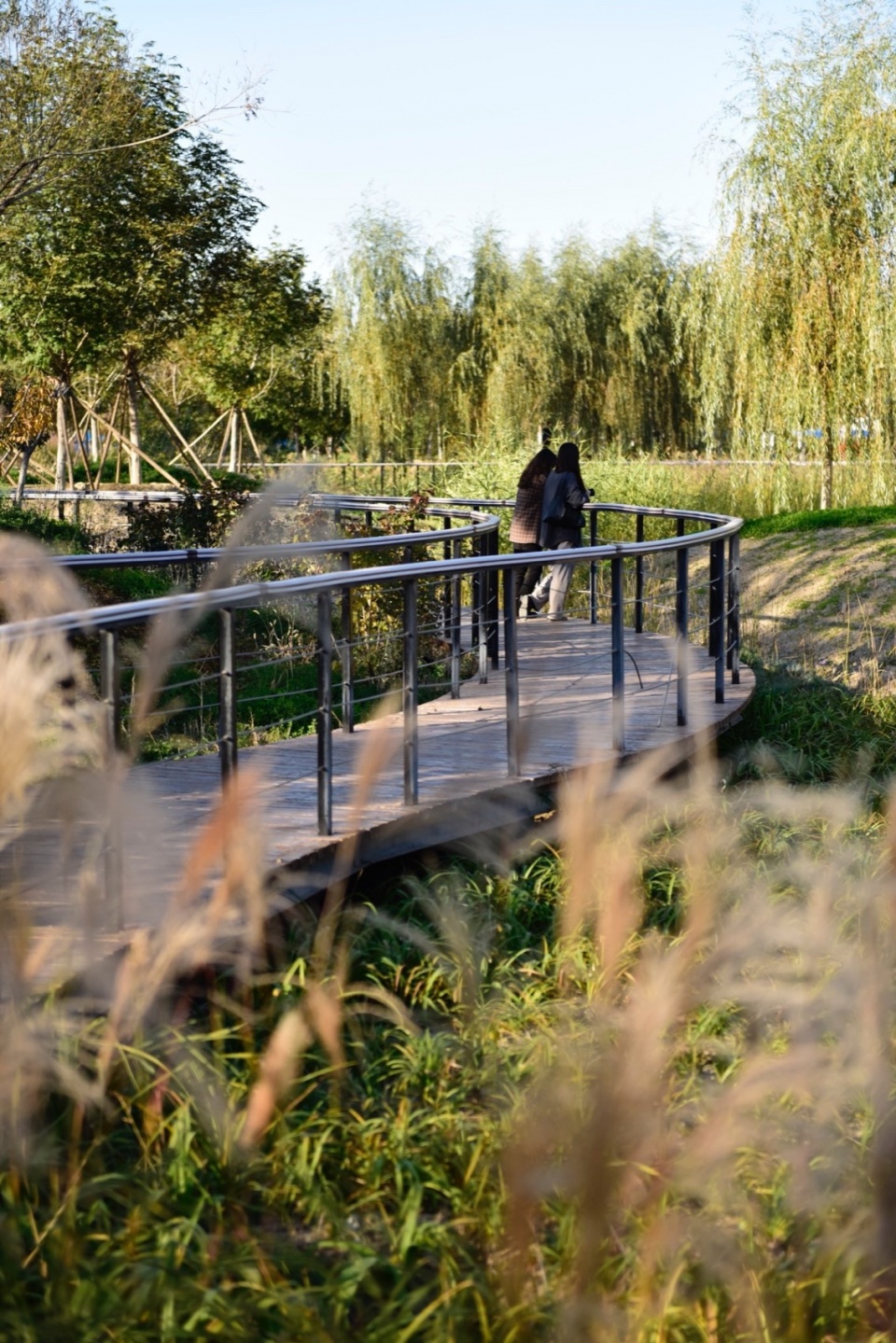 2 摄影:冯潇 beijing yinluchi park