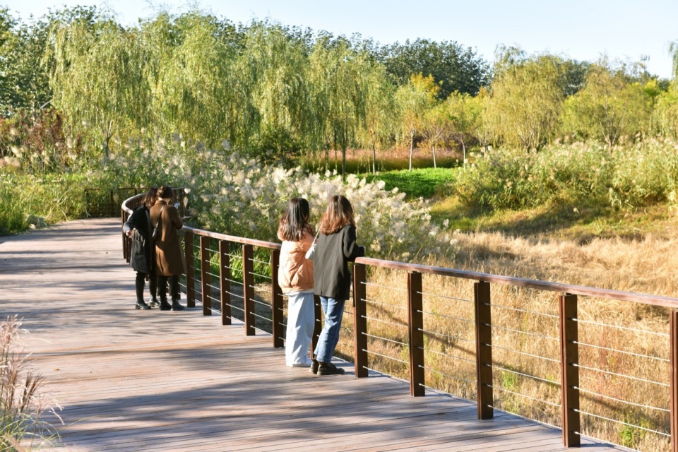 摄影:冯潇 beijing yinluchi park