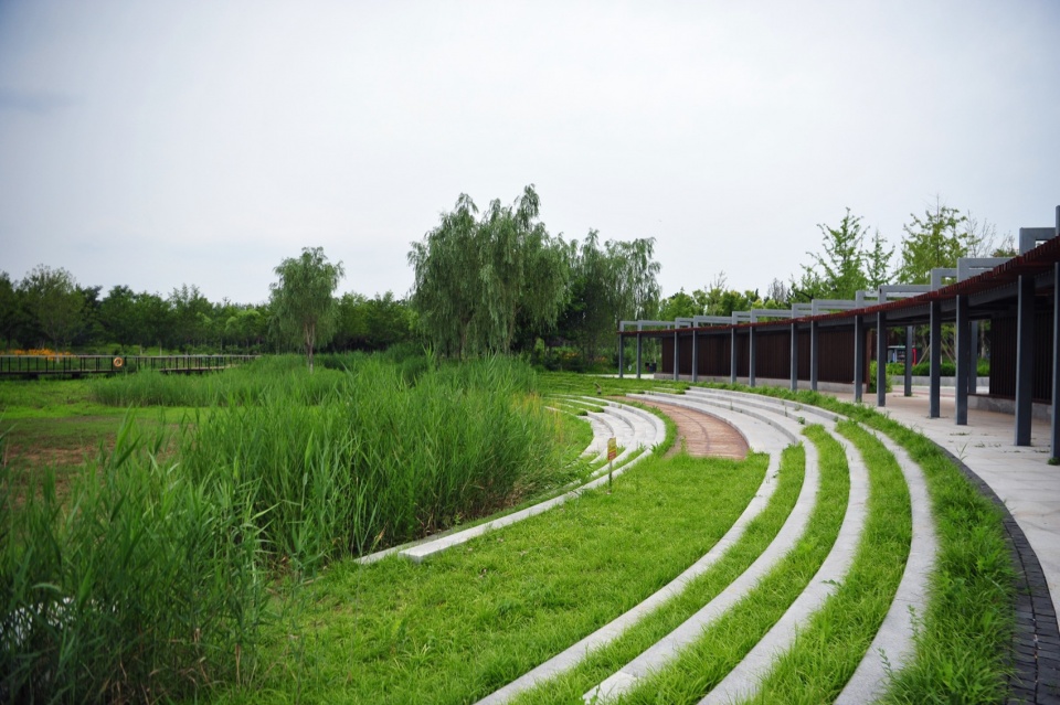 摄影:白桦琳 beijing yinluchi park