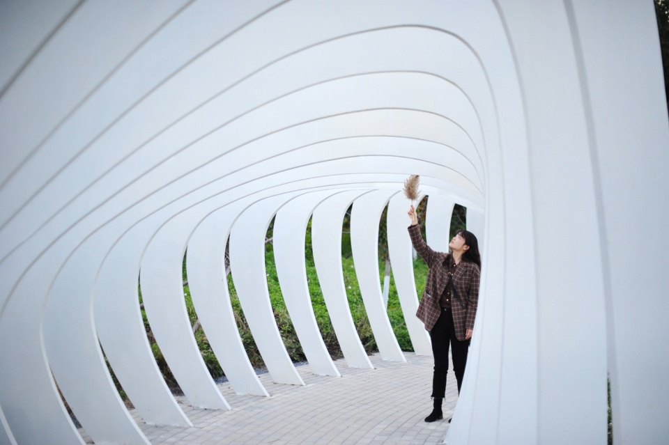 摄影:白桦琳 beijing yinluchi park