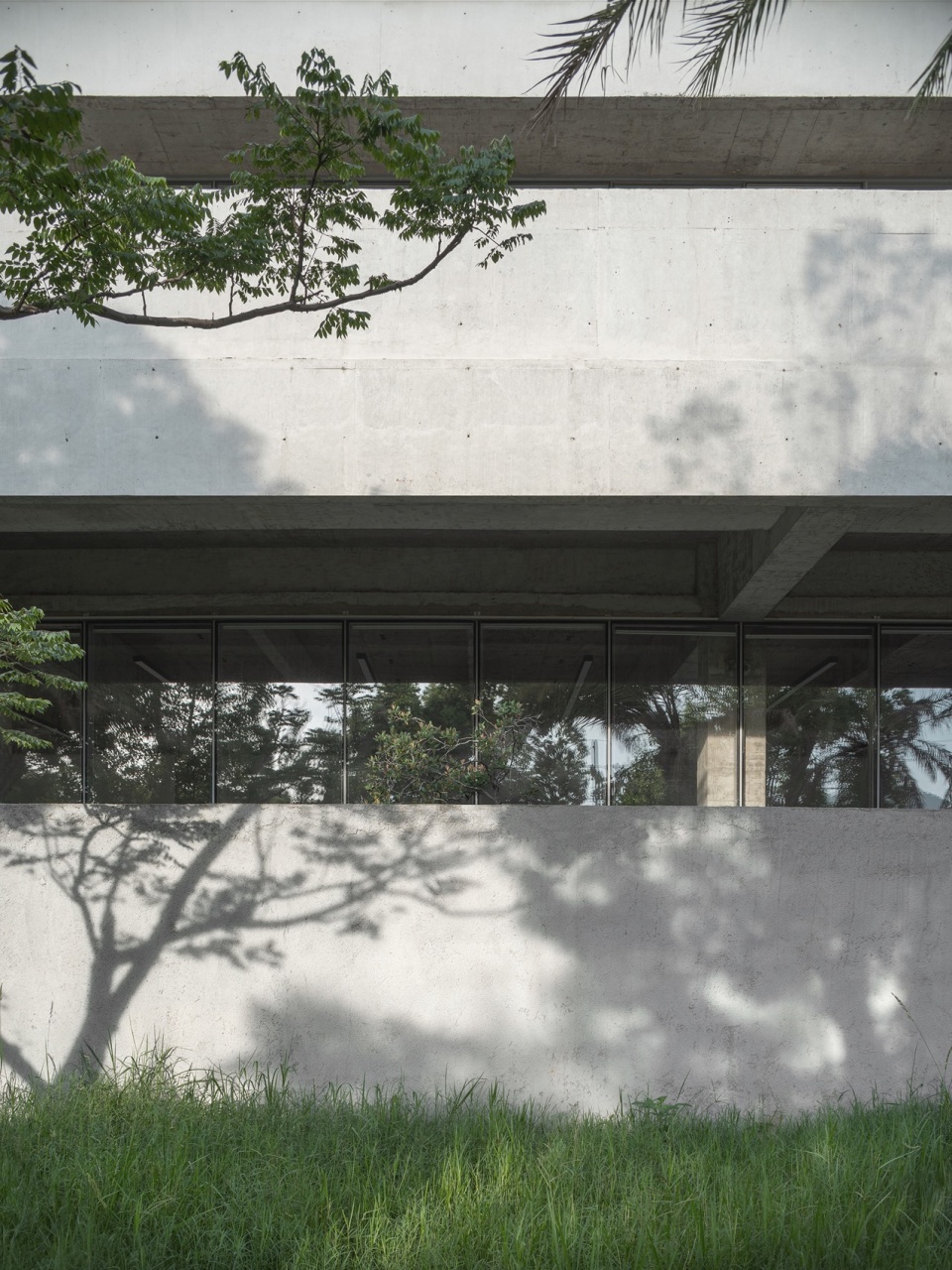 投在建筑上的婆娑树影©赵奕龙 enterprise exhibition hall from gardenarts oqc