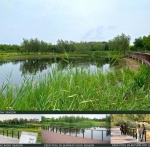 北京饮鹿池公园 / 北京林业大学风景园林规划设计研究院BLLA+山水和泓+原筑景观