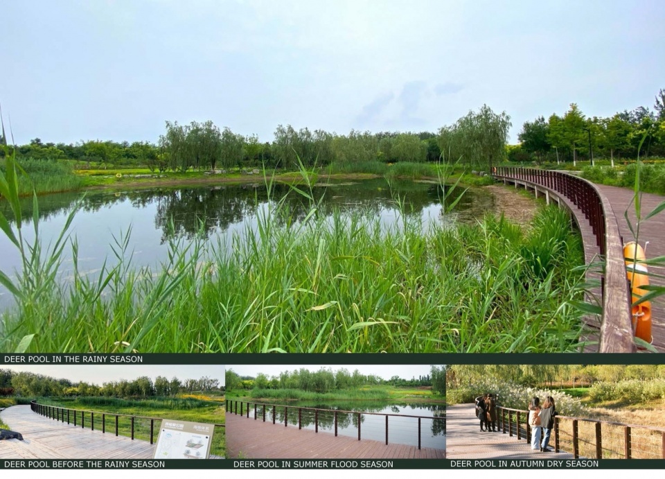 摄影:白桦琳 beijing yinluchi park