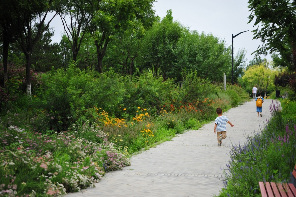 摄影:白桦琳 beijing yinluchi park