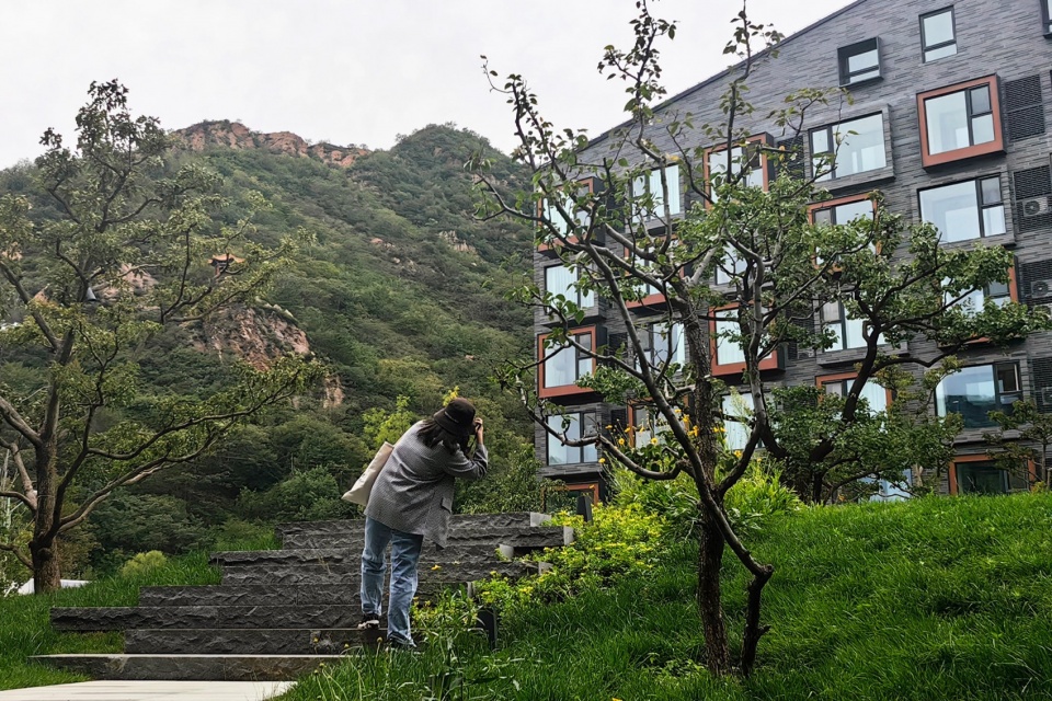 通过 “借景”的手法,将背景山林引入社区来构建景观画面 ©周婷 the first phase of the aranya wuling mountain community landscape