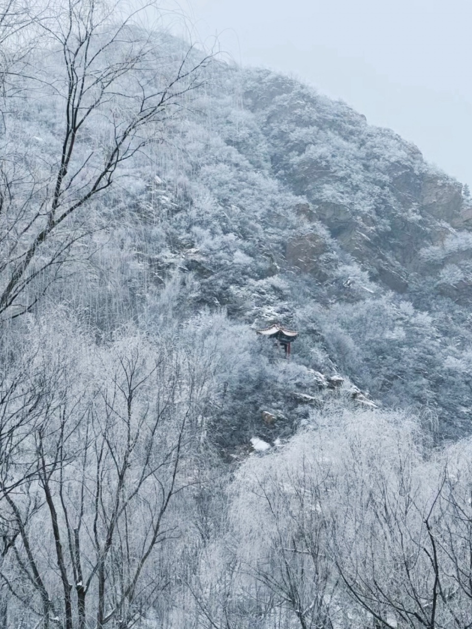 雾灵山雪景一期社区对西侧山脉的借景 ©阿那亚雾灵山 the first phase of the aranya wuling mountain community landscape