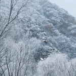 阿那亚雾灵山一期社区景观，河北 / 致舍景观