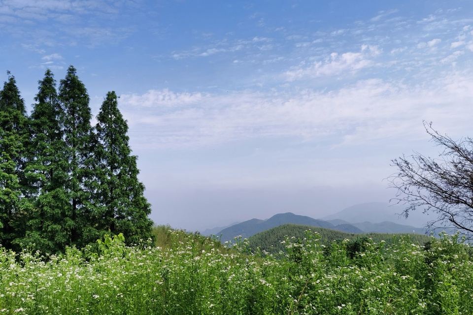Refuge Moganshan China by Studio Ininches