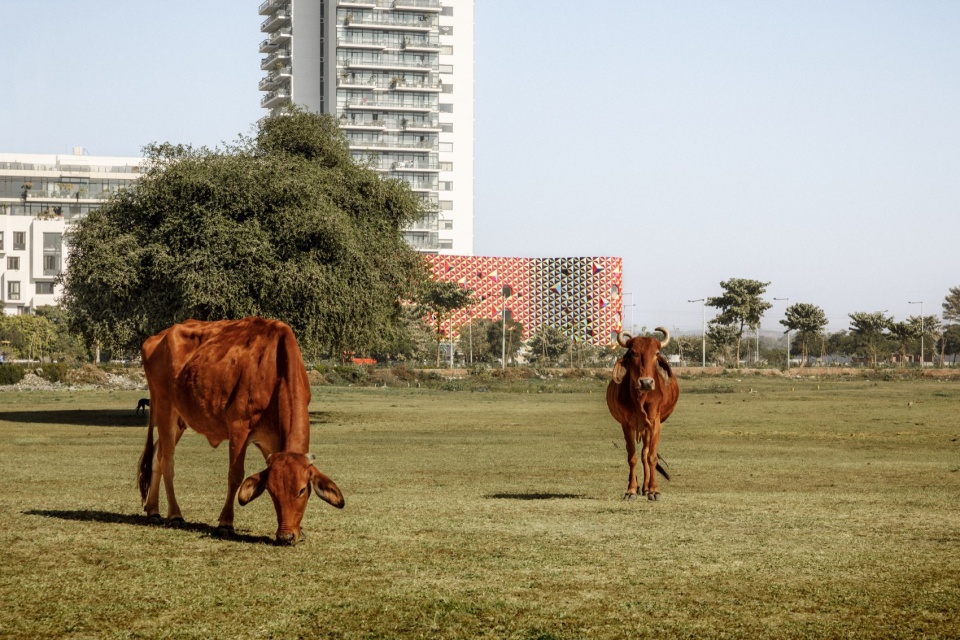 au grand airnursery kindergarten by paul le quernec architect