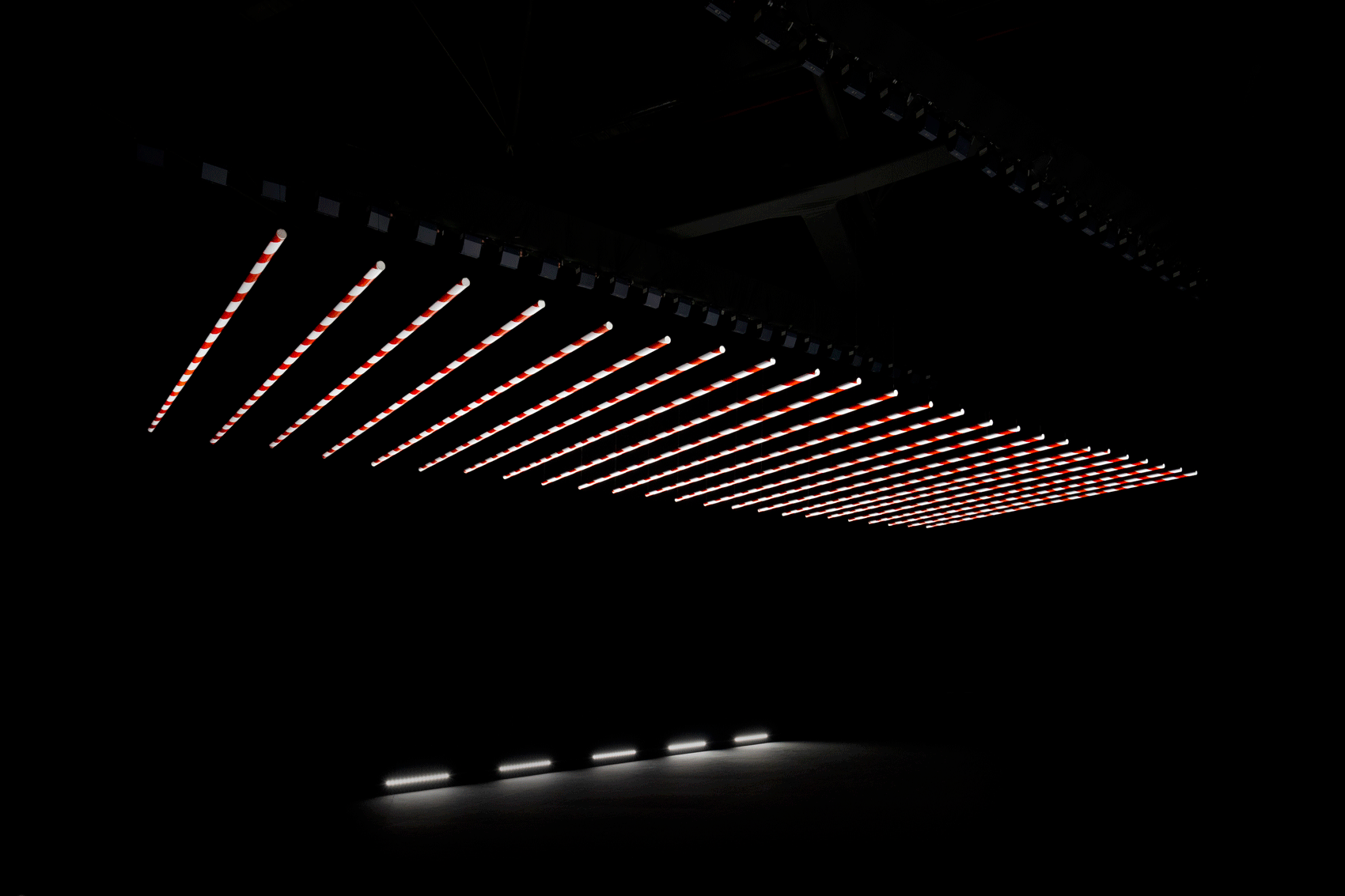 barrier bars by spy