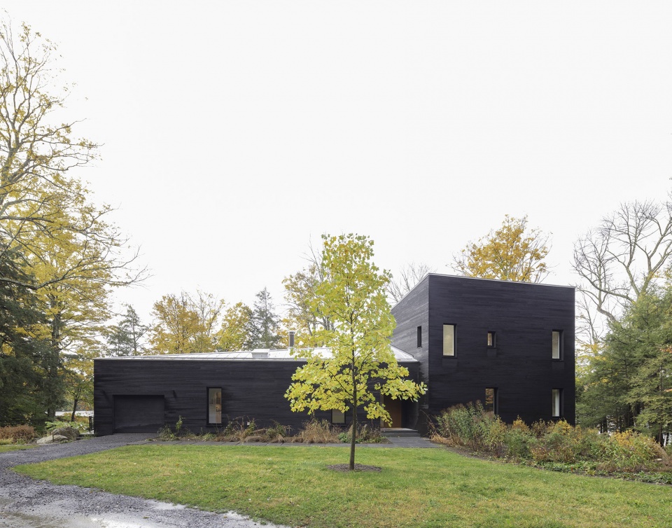 forest lake house by pachano vollert architecture
