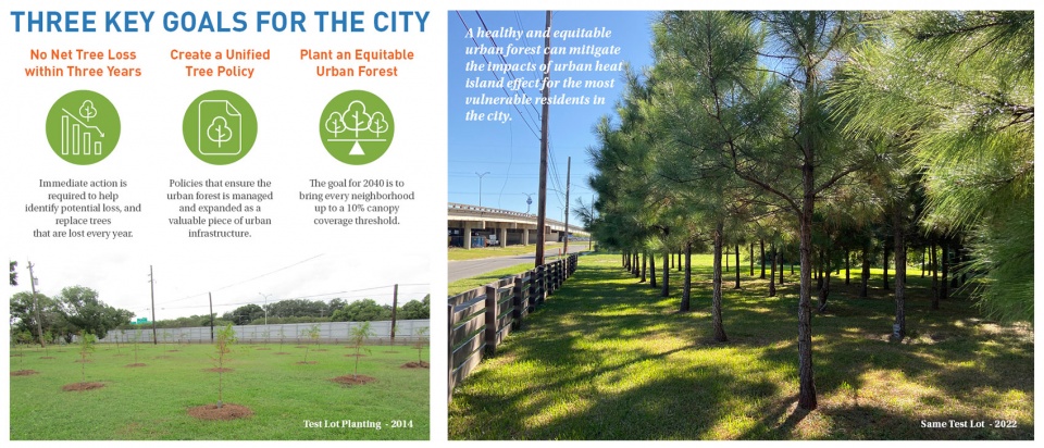 The New Orleans Reforestation Plan by Spackman Mossop Michaels