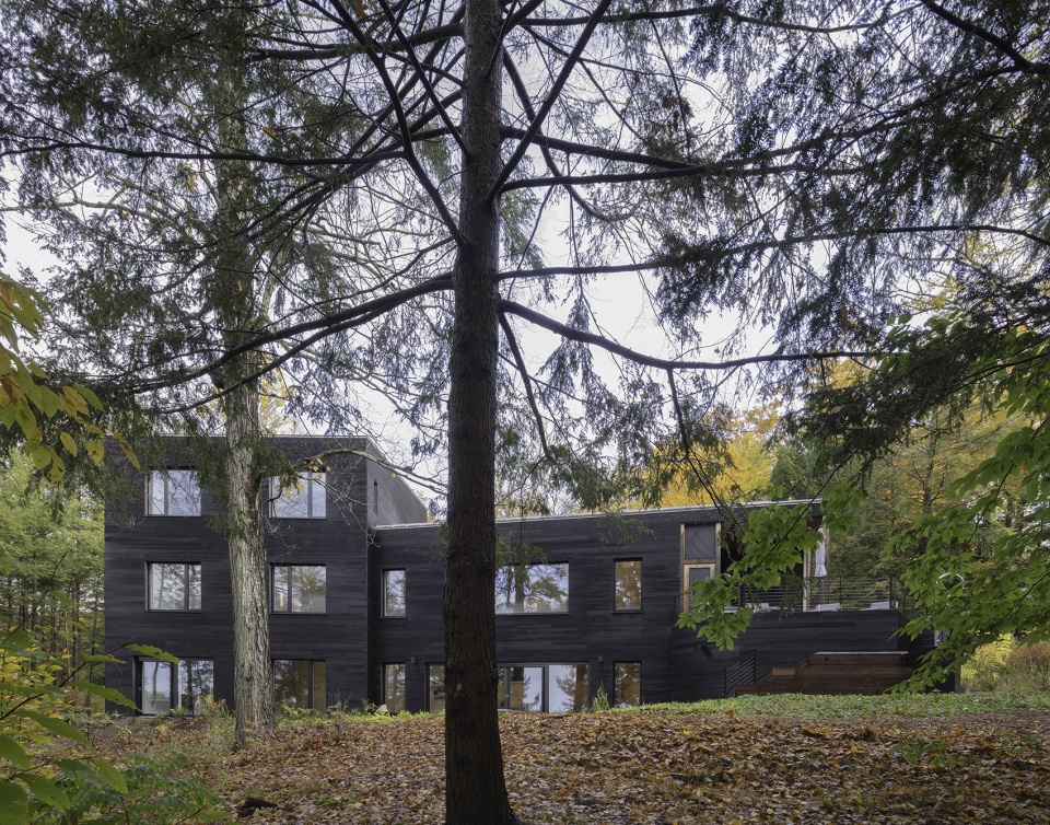 forest lake house by pachano vollert architecture