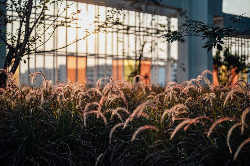 the sanguantang landscape design by t workshop