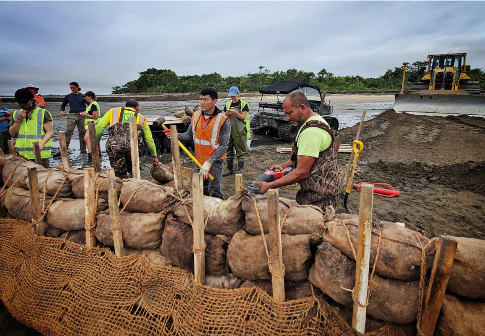 2022 ASLA GENERAL DESIGN AWARD OF HONOR West Pond Living Shoreline Dirtworks Landscape Architecture PC