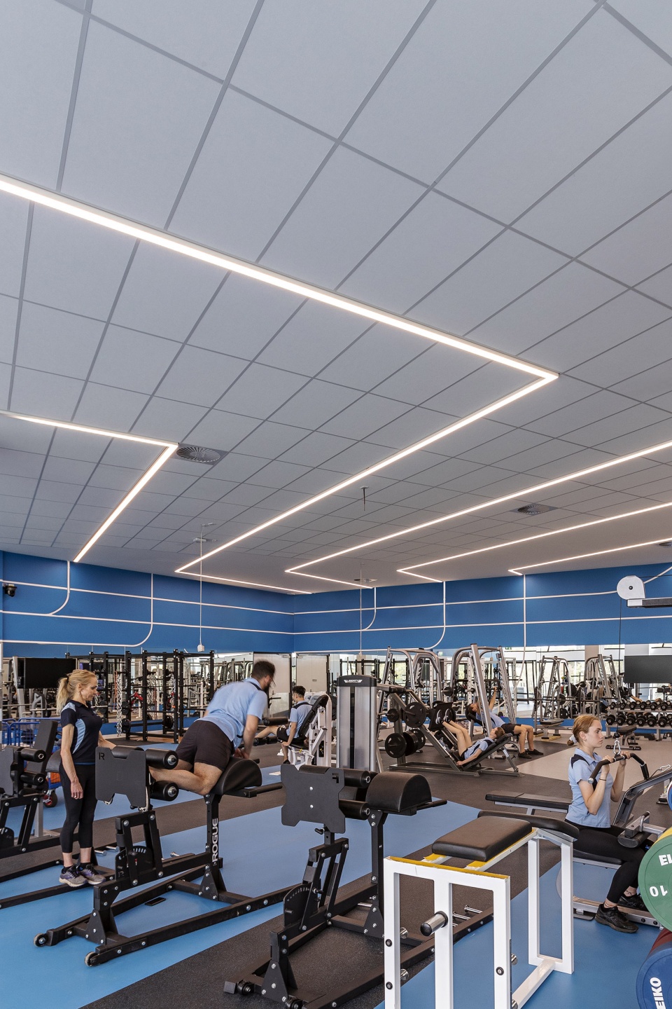 deakin university specialised indoor exercise and sport science teaching building by ds architects