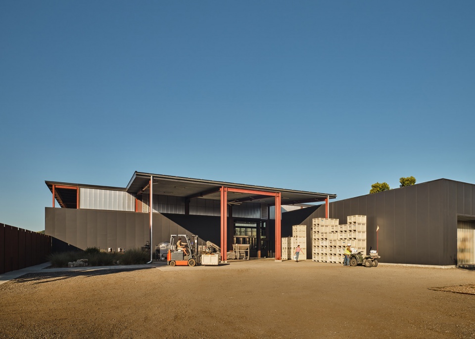 fulldraw vineyard by clayton korte