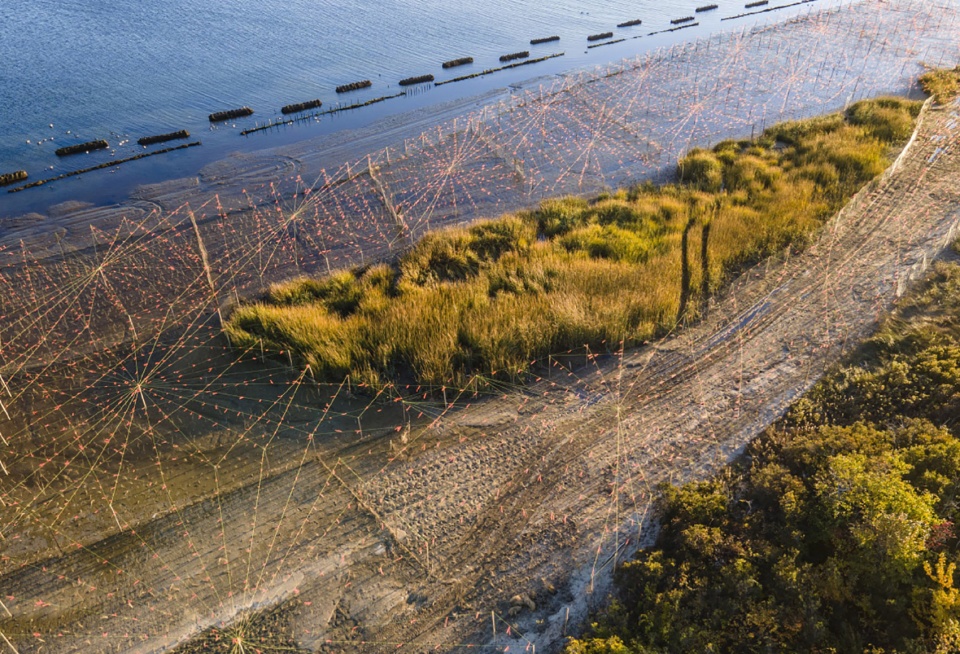 2022 ASLA GENERAL DESIGN AWARD OF HONOR West Pond Living Shoreline Dirtworks Landscape Architecture PC